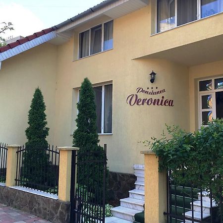 Pensiunea Veronica Băile Felix Exterior foto